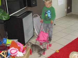 Jasper en kat1