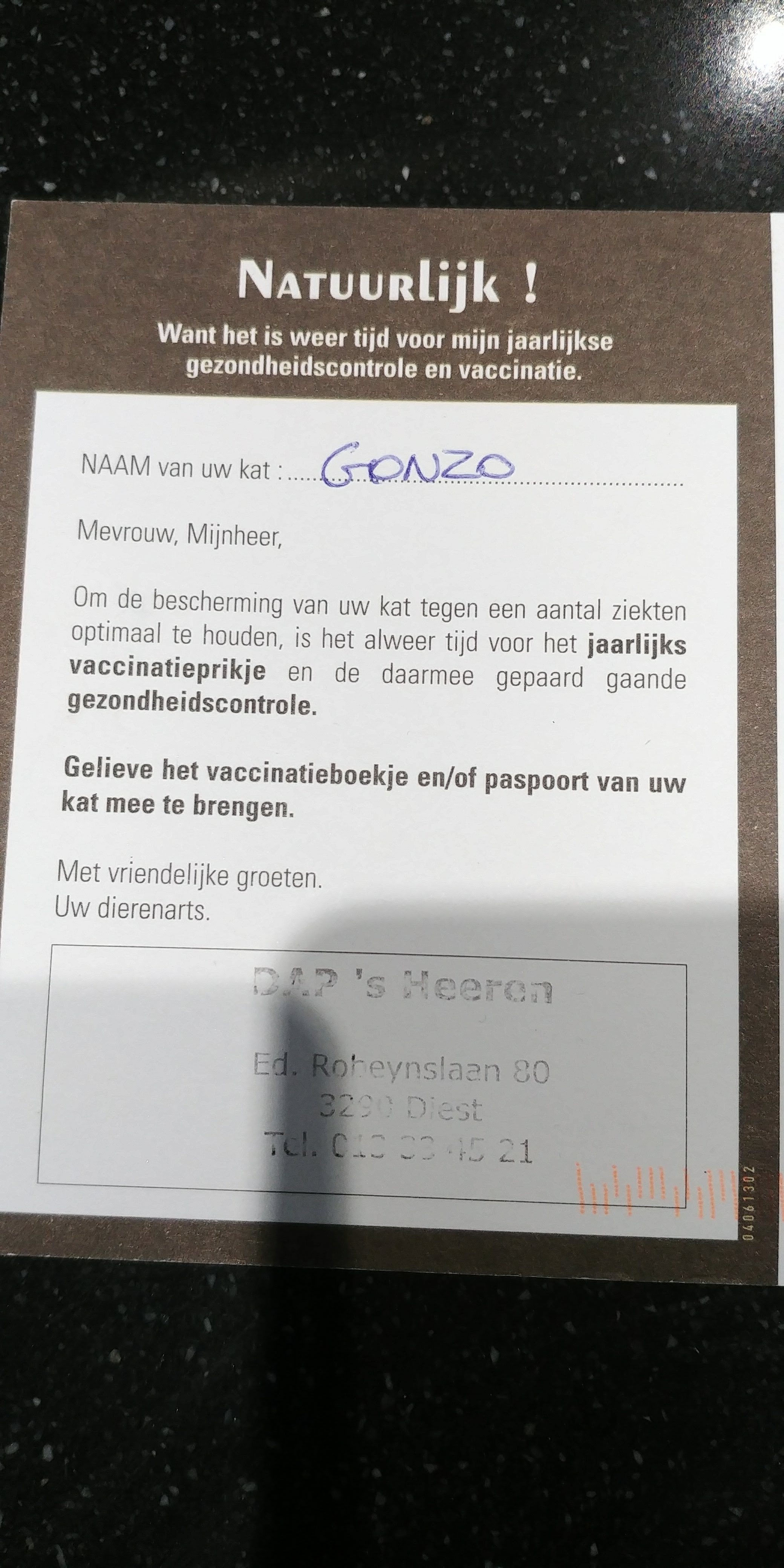 De koppige kater